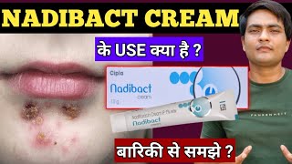 nadibact cream  nadibact cream uses in hindi  nadibact cream how to use [upl. by Tnaryb]