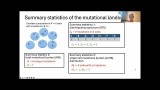 A mathematical analysis of the mutational landscape in cancer before and after treatment [upl. by Enyad]