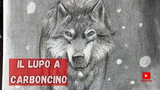 Lupo a carboncino [upl. by Alexandrina485]