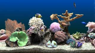 Marine Aquarium Virtual Fishtank [upl. by Bellanca]