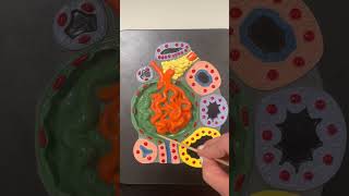 Model of the Glomerulus and Renal Tubule Histology [upl. by Airegin89]