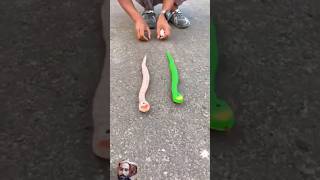 remote control snake 🐍  toys unboxing shorts youtubeshorts [upl. by Cosma913]