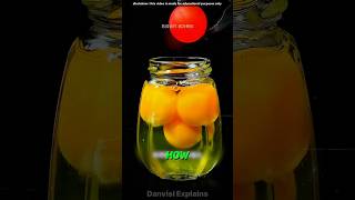 🔥 Crazy Experiments You Must See shorts science [upl. by Cadmann]