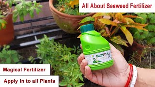 Seaweed Fertilizer  Magical fertilizer [upl. by Munafo267]