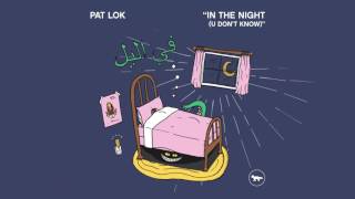 Pat Lok  In The Night U Dont Know Official Audio [upl. by Ativad]