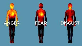 Science Bulletins Mapping Emotions in the Body [upl. by Aikahs]