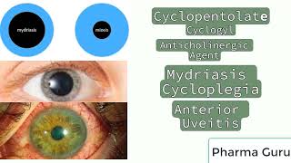 Cyclopentolate  Cyclogyl  Uses  Pharmacological Category in a nutshell [upl. by Maisie467]