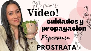 Quien soy  Cuidados y propagación de Peperomia Prostrata [upl. by Bondy480]