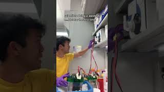 scientists doing a western blot for the first time [upl. by Purity]