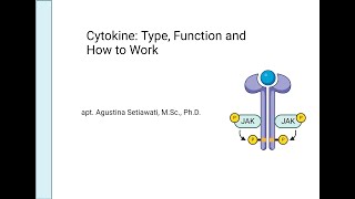 Cytokine [upl. by Hultin]