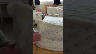 This Will Make Your Bed Making So Much Easier Beddys Zipper Bedding shorts beddys [upl. by Konstantine]