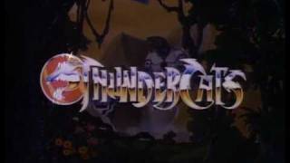 Thundercats Ending Theme 480p [upl. by Camellia]