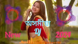 Assamese DJ song 2024 [upl. by Conney]