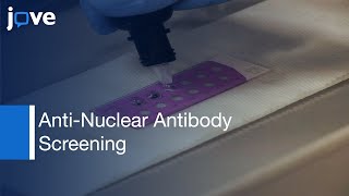 AntiNuclear Antibody Screening Using HEp2 Cells [upl. by Gustie]