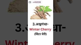 Discover आयुर्वेदिक Plants in English  Herbs के English Names with Pictures  Learn Vocabs shorts [upl. by Rrats]