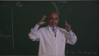 COURS ANATOMIE 10 Appareil Respiratoire Partie 1 [upl. by Lee665]