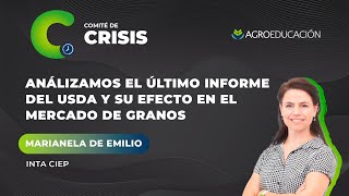 Analizamos el último Informe del USDA y su efecto en el mercado de granos con Marianela de Emilio [upl. by Neeka638]