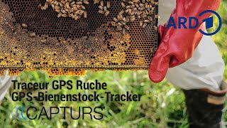 ARD  Capturs GPS Tracker für Bienenstöcke [upl. by Deevan]