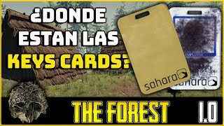 The Forest 10  ¿Donde están la Key Card y Key Card Dorada  GUIA 11 [upl. by Alyehc727]