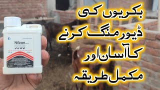 deworming for goats  bakri ki deworming Karne ka tarika  بکریوں کی ڈیورمنگ کا طریقہ  Bakriwala [upl. by Coe]