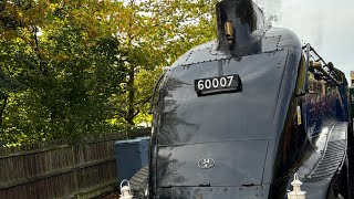 Giants of steam gala at bluebell railway lner a4 sir Nigel greasly and the Wightwick hall gwr [upl. by Gianna]