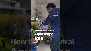 Making Reel is always fun mayurdevaquascaper reels viral shorts viralvideo fishcare fish [upl. by Salangi245]