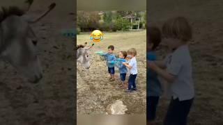 Baby Reactions to Animal Surprises 😂🐶🐱MyPetsie amp adamelea1 [upl. by Olympia]