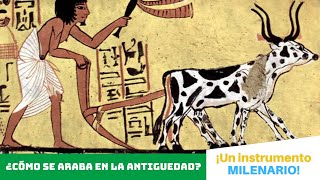 ¿Cómo se ARABA en la ANTIGÜEDAD⏳ ¡Un instrumento MILENARIO [upl. by Muir]