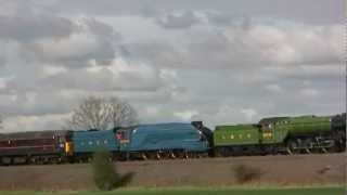 4468 Mallard amp 4771 Green Arrowm2ts [upl. by Anselma619]