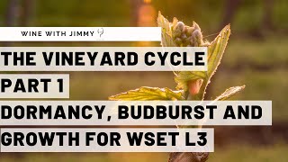 WSET Level 3 Wines  Understanding the Vineyard Cycle Part 1 [upl. by Esorylime318]