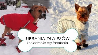 UBRANIA DLA PSÓW  konieczność czy fanaberia [upl. by Aicirtam]