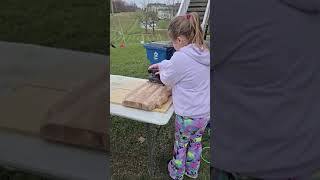 Caralee sanding a wooden board on November 15 2024 [upl. by Sheffie]