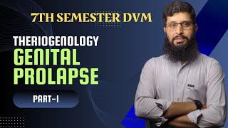 Genital Prolapse in Animal  Part 01  Theriogenology lecture 05  7th Semester DVM [upl. by Emmanuel419]