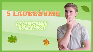 5 Laubbäume für Anfänger zum Bestimmen  natural life education [upl. by Eey]