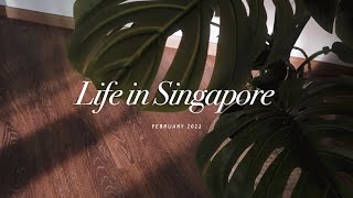 Singapore Daily Life Vlog  Home Cooking  Kimchi Toastie  Chicken Sausage Stew [upl. by Malda78]