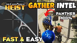 GTA 5 Online How to Get Panther Statue Every Time  EASIEST Cayo Perico Gather Intel Full Guide [upl. by Lothar]