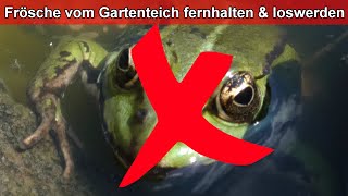 Frösche im Gartenteich verhindern – Frosch im Teich fangen amp vermeiden – Was tun gegen laute Frösche [upl. by Gerick859]