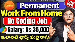 Permanent Work from Home jobs  Salary 35000  No Coding job  Online jobs at Home VtheTechee [upl. by Novia]