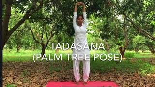 How to do Tadasana step by step in telugu  yoga for height growth  palm tree pose [upl. by Wolsniw]