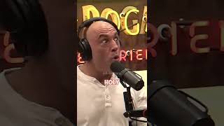 Joe Rogan The Scariest Animal in the Mounains 😱🦁 [upl. by Gaw]