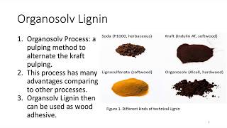 Organsolv Lignins Characterization [upl. by Nadab]