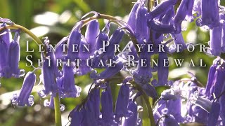 Lenten Prayer for Spiritual Renewal HD [upl. by Yessak]