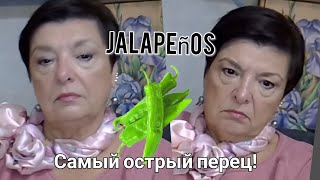 🌶Интервью постcкриптум 🚫 А вы думали я буду молчать⁉️ Угощу вас перцем Jalapeño ♻️ [upl. by Alyahsal]