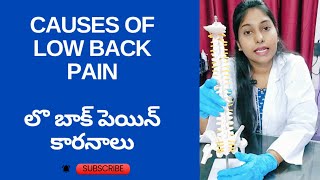 Reasons for back pain  బాక్ పెయిన్ కారనాలు [upl. by Klepac817]