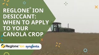 Reglone® Ion desiccant When to apply to your canola crop [upl. by Nevear658]