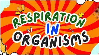 Respiration in Organisms  How Animals amp Plants Breathe  Class 7 Science [upl. by Wu]