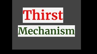 Thirst Mechanism [upl. by Jimmy72]