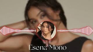 Esena Mono Remix 2024  Ethereal Grooves by Daniel Reyes  Original Track by Sofia Amani [upl. by Tada]