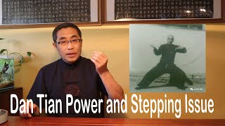 Hai Yangs Practice Proverb Series 11 Dan Tian Area and Stepping of Tai Chi [upl. by Reldnahc379]