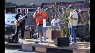 Dave Haley  Two Bones amp A Pick  Too Much Family  Harrys ChiliFest  2002 [upl. by Eirelav]